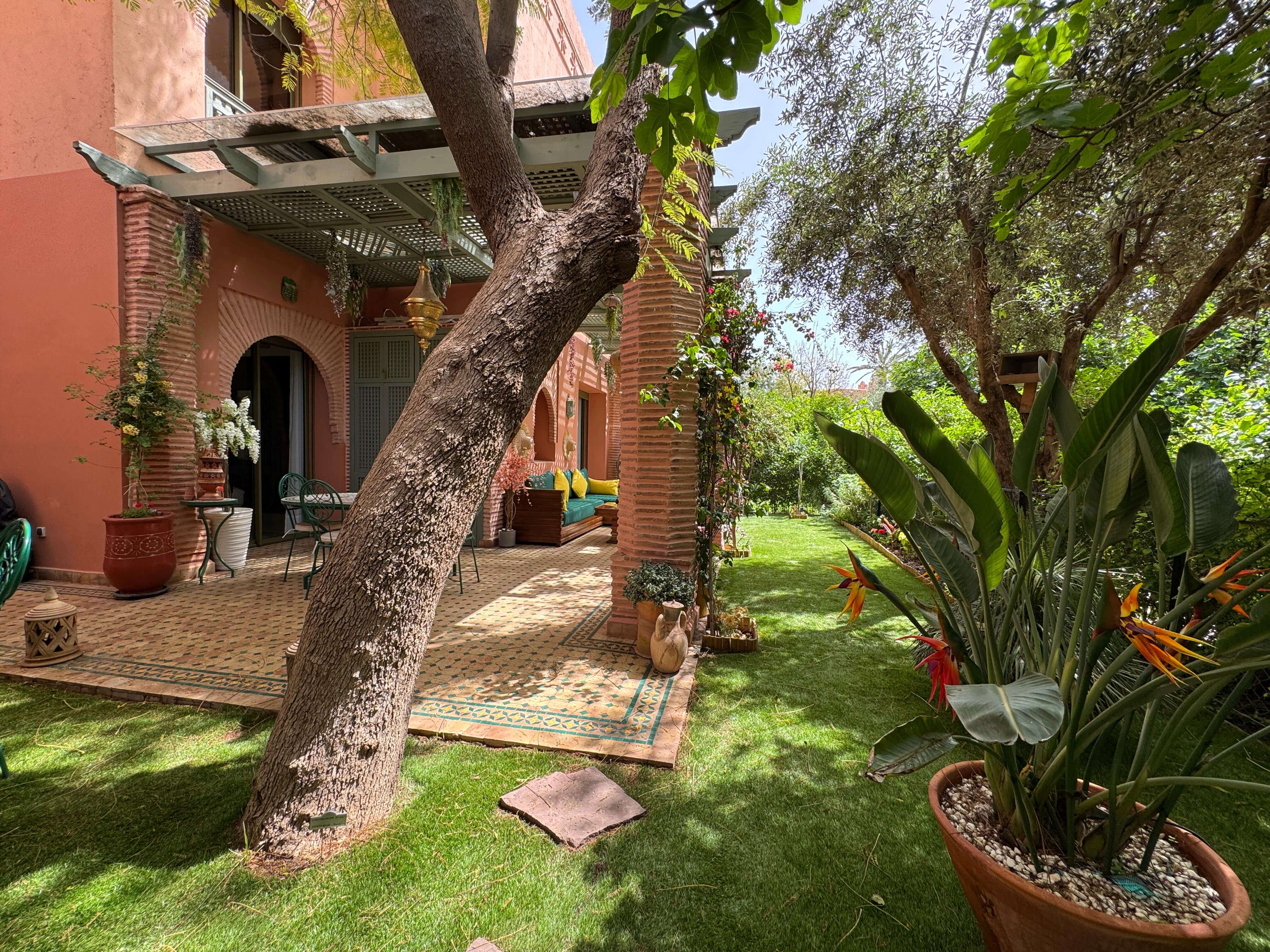 Jardin 1