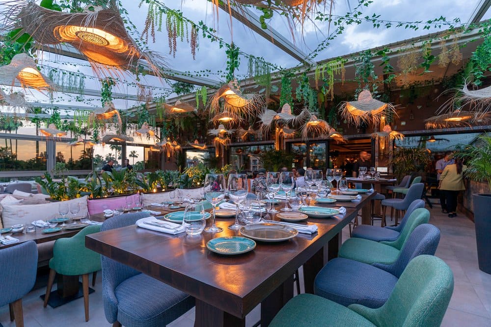 Safran by Koya — Experience